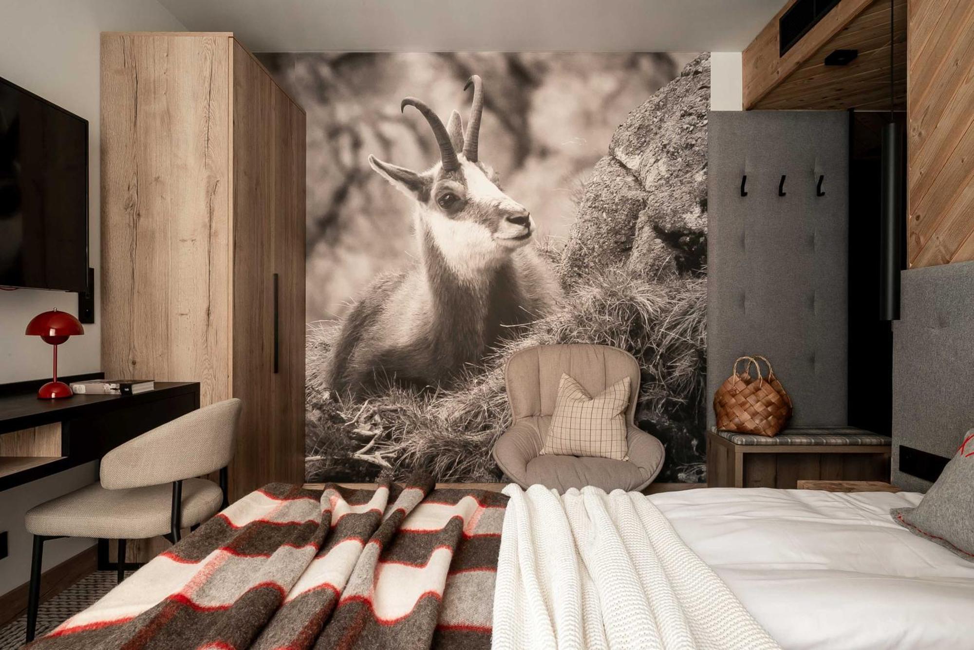 Stefanova Zakopane Aparthotel & Spa Kültér fotó